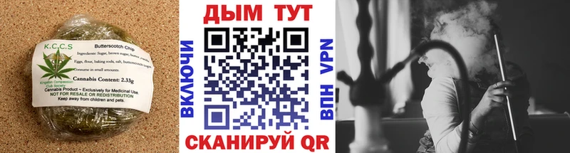 продажа наркотиков  Полярные Зори  мега маркетплейс  Canna-Cookies марихуана 