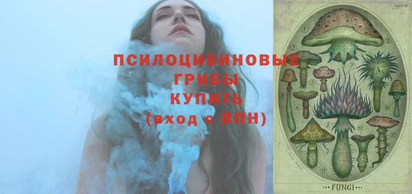 дмт Алексин