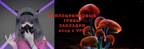 винт Алзамай