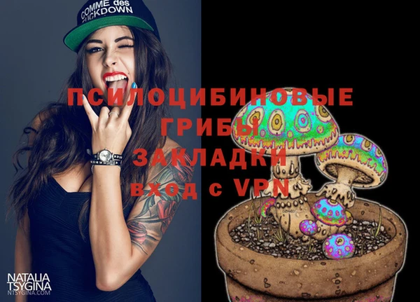 дмт Алексин