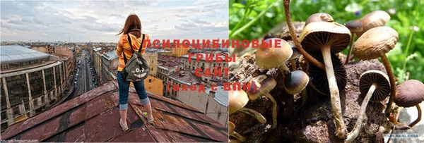 амф Алексеевка
