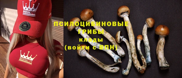 метадон Няндома