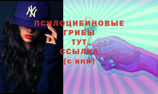 амф Алексеевка