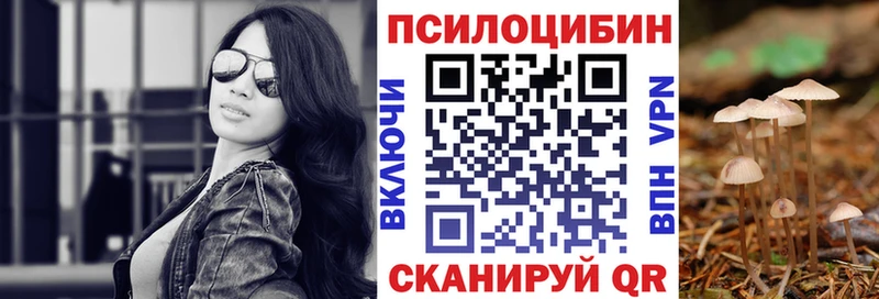Псилоцибиновые грибы Cubensis  Полярные Зори 